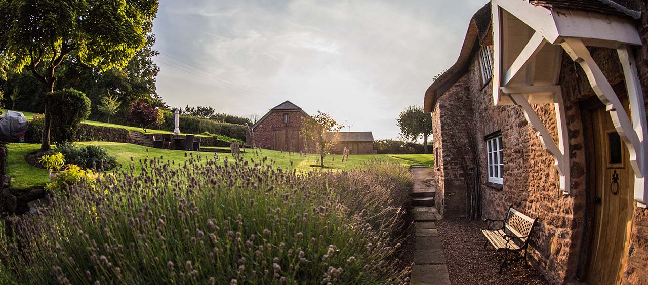 Gartenpflege Neheim-Hüsten