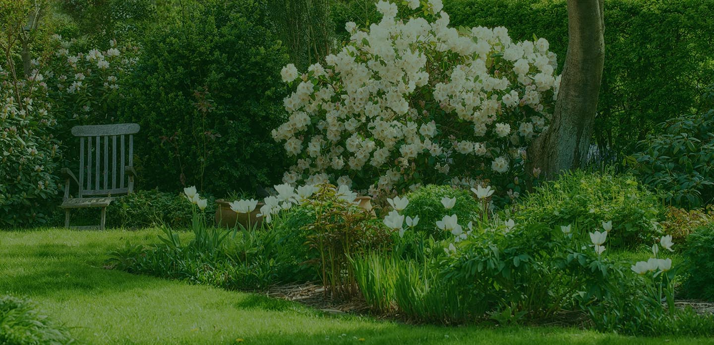 Gartenpflege Neheim-Hüsten
